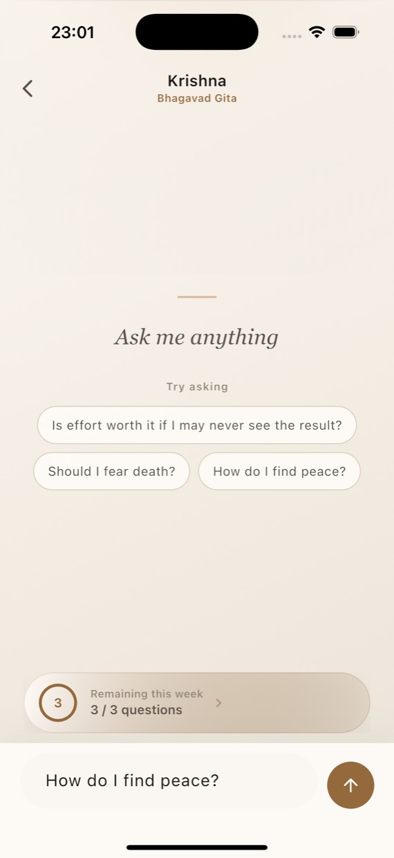 Chat screen with suggested questions
